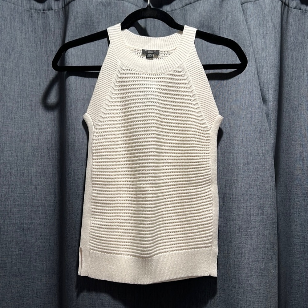NWT Ann Taylor Sweater Top